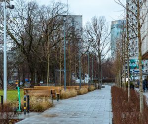 Zielona Marszałkowska między placem Bankowym a ul. Królewską