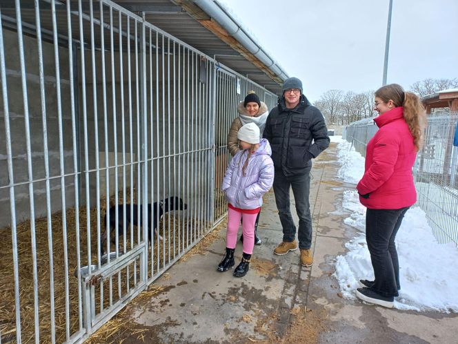 Schronisko dla bezdomnych zwierząt w Henrykowie prosi o słomę [ZDJĘCIA]