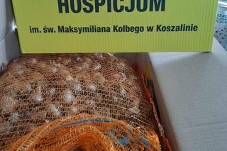 Hospicjum św M. Kolbego w Koszalinie przygotowuje „Pola nadziei” 