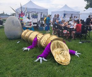 Smoczy Piknik Rodzinny 2025 w Krakowie