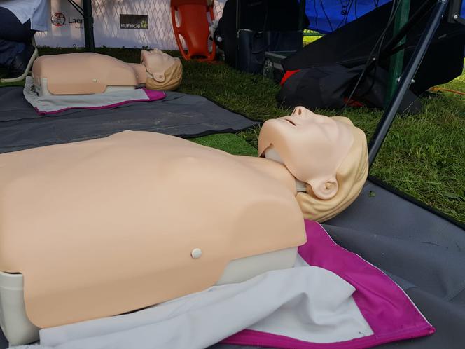 I Festiwal Psów Ratowniczych na plaży miejskiej w Żywcu