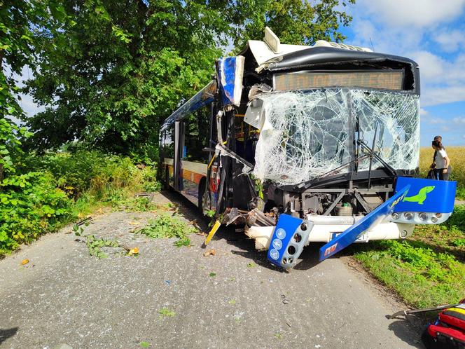 Pod Bydgoszczą autobus podmiejski uderzył w drzewo. Kilkanaście osób jest rannych!