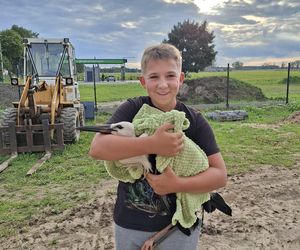 Mieszkańcy gminy Kuślin uratowali bociana