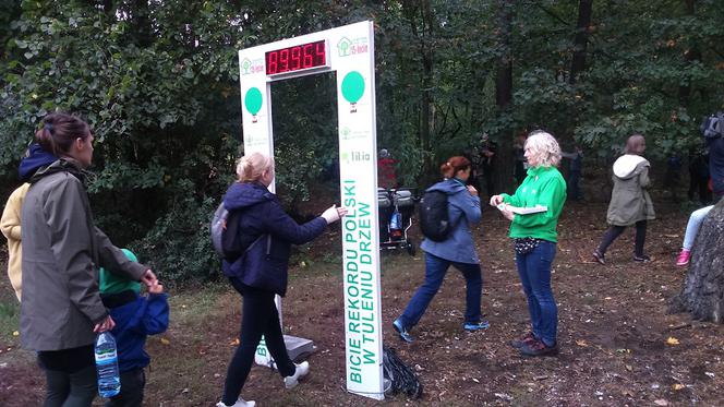 Toruń ustanowił rekord... w przytulaniu drzew! 