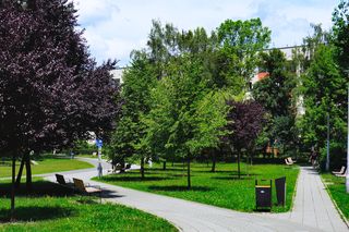 Park Młynówka Królewska w Krakowie