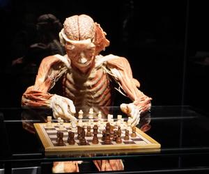 Wystawa z ludzkiego ciała. Body Worlds powróciła do Gdańska po 5 latach 