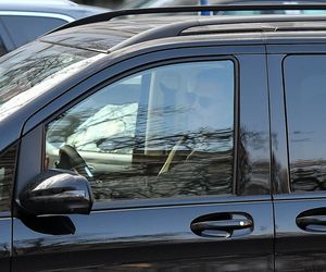 Ibisz powiększa rodzinę