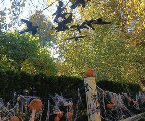 Willa na Jaśkowej Dolinie w Gdańsku znów straszy! Tegoroczny motyw Halloween budzi niepokój