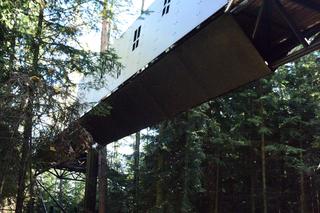 Małopolska też ma swoje molo. I to w koronach drzew! 