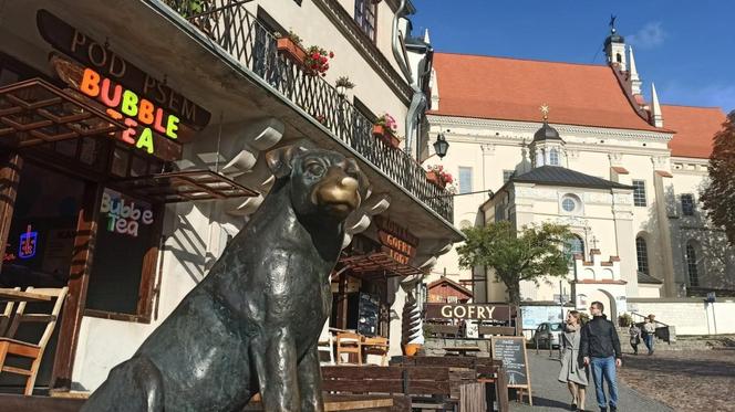 Pierwszy w Polsce posąg psa kundelka znajduje się w Kazimierzu Dolnym