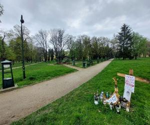 Eryk R. z Zamościa, 16-letni syn gwiazdy disco polo, pobity na śmierć