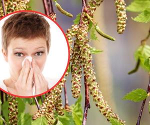Alergia na pyłki w lutym? Co tak pyli?