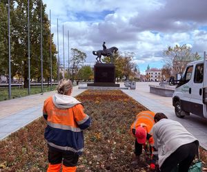 Wymiana nasadzeń sezonowych w centrum Lublina [AUDIO]