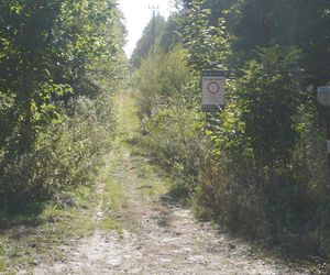 Bunkry na Mazurach wybudowane dla żołnierzy Wehrmachtu. To tu miała być ukryta Bursztynowa Komnata [ZDJĘCIA]