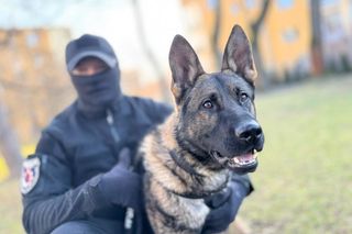 Jack to nowy funkcjonariusz policji. Będzie wyszukiwał ludzkie zwłoki