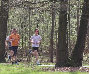 Parkrun Katowice. Wielkanocne bieganie w Parku Kościuszki