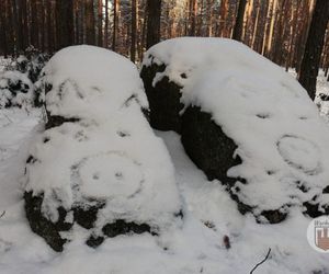 Kamienna Świnki w gminie Wąchock