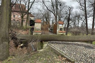 Potężne wichury przechodzą przez Małopolskę. Strażacy interweniowali ponad 120 razy