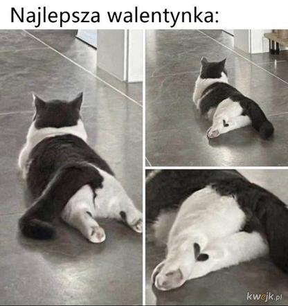 MEMY na Walentynki 2024. Tak internauci szydzą ze Święta Zakochanych 