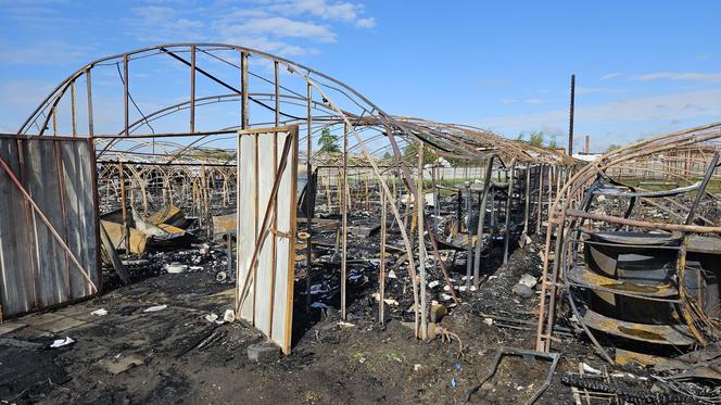 Gigantyczny pożar w Czaczu! Spłonęły magazyny antyków [ZDJĘCIA]