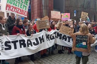 Wielki protest w Krakowie. Strajkowali w obronie klimatu 