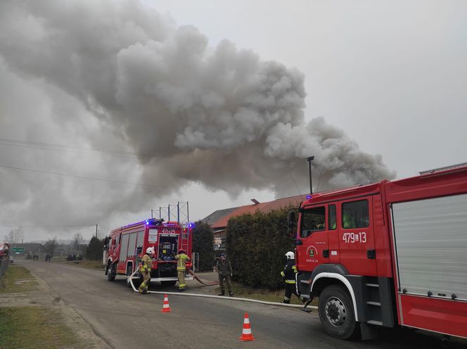 Kilkanaście wozów strażackich gasiło pożar miejscowości Kalinowy Dół 