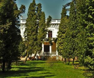 Pałac hrabiego Trojanowskiego