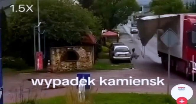 Pas od tira uderzył kobietę prosto w głowę. Wszystko widać na nagraniu