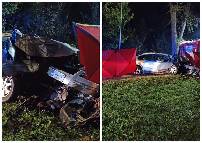 Śmiertelny wypadek na ul. Łęczyckiej w Elblągu. Auto roztrzaskało się na drzewie. Kierowca nie żyje [FOTO]