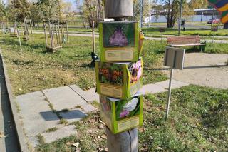 fot. Miłosz Piotrowski