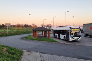 Wrocławscy pasażerowie mogą spotkać m.in. przy pl. Dominikańskim, al. Kromera i na Psim Polu