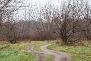 Powstaje projekt, który ucieszy rowerzystów. Nowa ścieżka rowerowa połączy dwa miasta