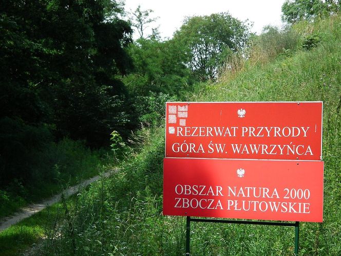 Kałdus