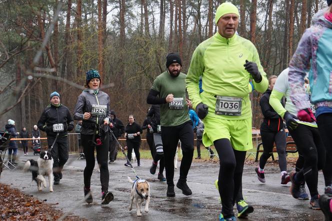 City Trail w Bydgoszczy. Miłośnicy biegania opanowali Myślęcinek [ZDJĘCIA]