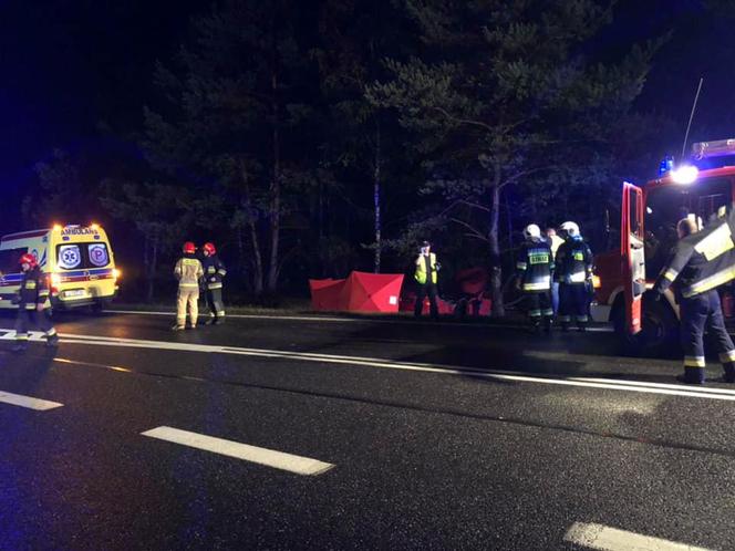 Tragiczny wypadek na DK 10 w Solcu Kujawskim! Nie żyje jedna osoba! [ZDJĘCIA] 