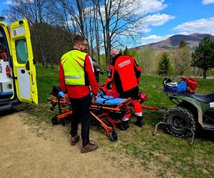 Turysta ukąszony przez żmiję.