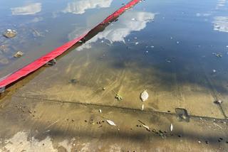 Katastrofa ekologiczna na Odrze. W Gryfinie i Żabnicy trwa stawianie zapór na rzece [ZDJĘCIA]