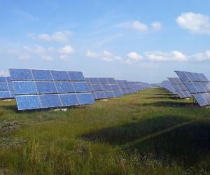 Gorzów chce mieć własną elektrownię słoneczną. Czy każdy będzie mógł kupić miejski prąd? 