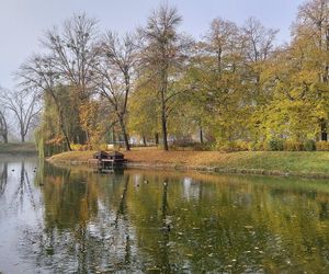 Zamojski Park jesienią