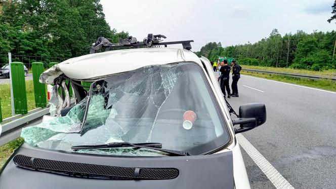 Wypadek busa z dziećmi i wojskowej ciężarówki na S3 pod Zieloną Górą! 12-latka reanimowana. Są inni ranni [ZDJĘCIA]