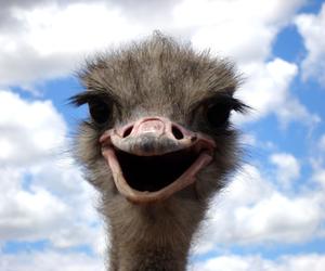 Egzamin ósmoklasisty 2023 - memy. Uczniowie popłaczą się ze śmiechu [GALERIA]