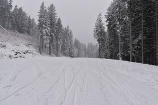 Winterpol Karpacz Biały Jar