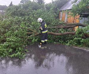 Burzowa noc w regionie Świętokrzyskim! Grad, połamane drzewa, zalane ulice