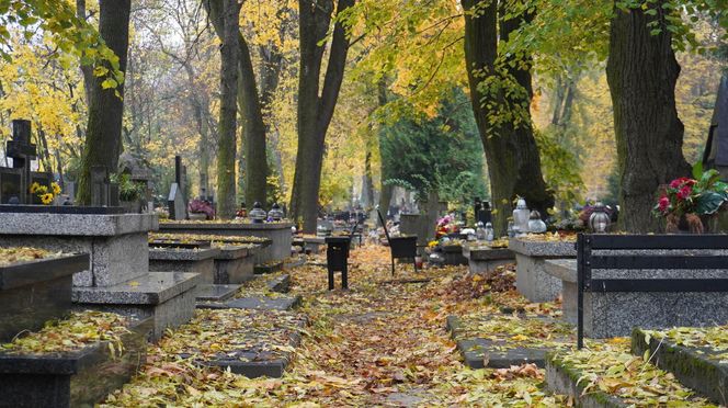 Zbliża się Dzień Wszystkich Świętych. Jak wyglądają przygotowania na najstarszym cmentarzu w Lublinie?