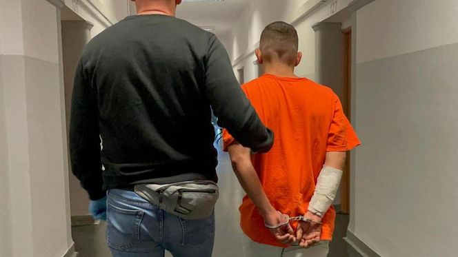 28-latek odkręcił gaz i zabił dwa psy. Jego była partnerka ledwo uszła z życiem!