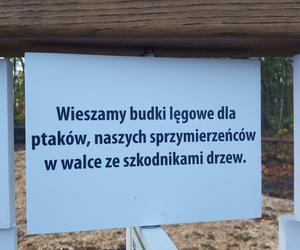 Przy siedzicie Nadleśnictwa Karczma Borowa w Lesznie powstaje ścieżka eduakcyjna Na tropie przyrody 