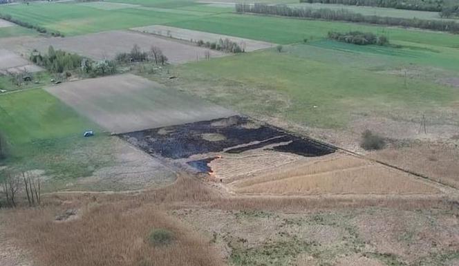 Wypalał trawę, namierzył go dron.
