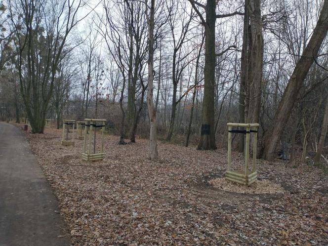 Zakończył się tegoroczny etap rewaloryzacji parku im. A. Wodziczki