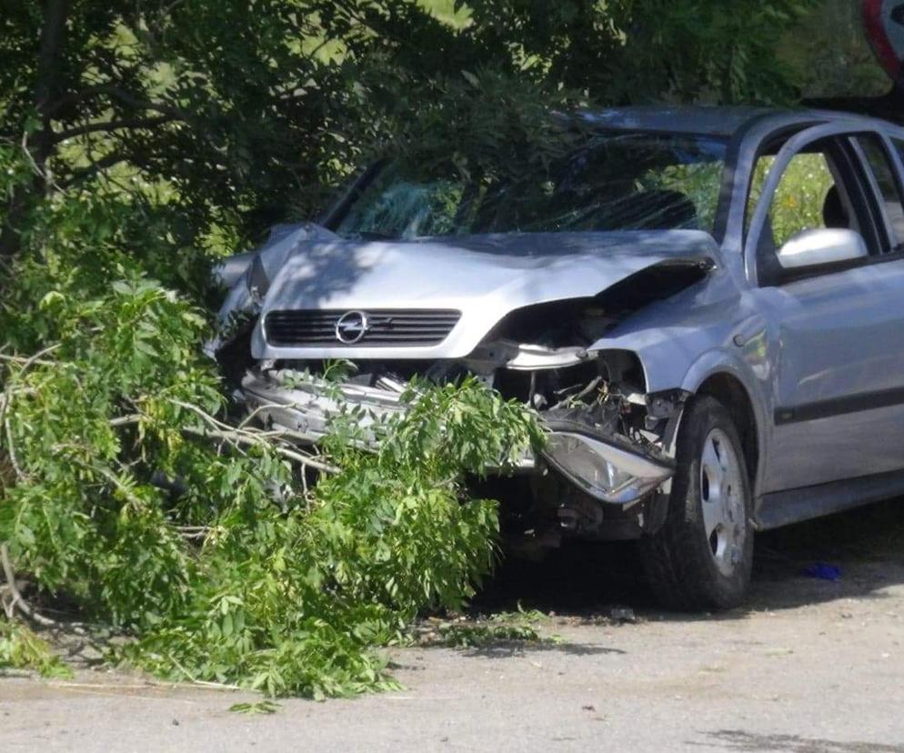 Rąbnął w drzewo, zostawił nieprzytomnego pasażera na pastwę losu.