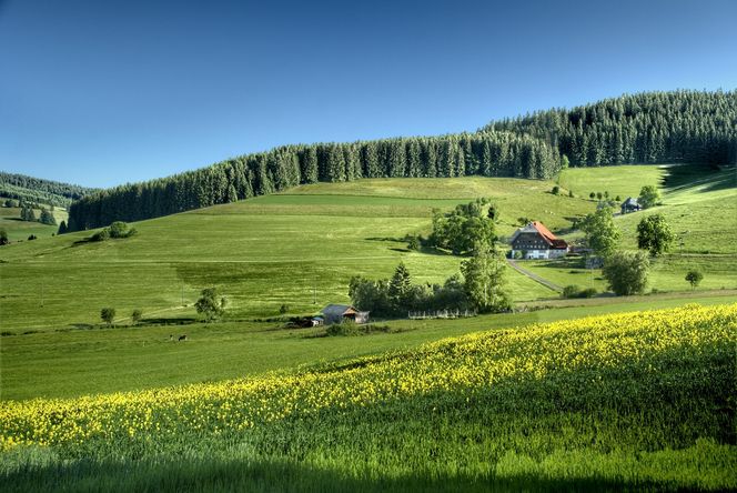 Piękna Wieś Podkarpacka 